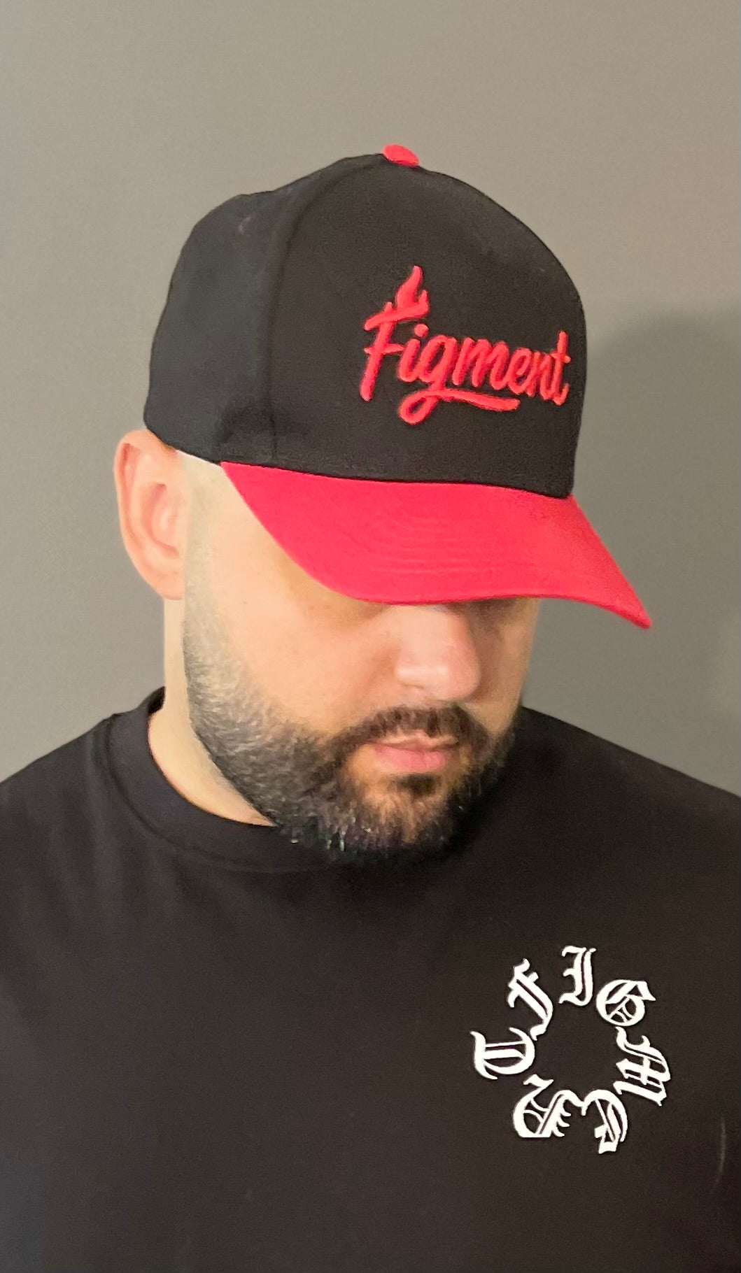 *Figment Fire* snapback